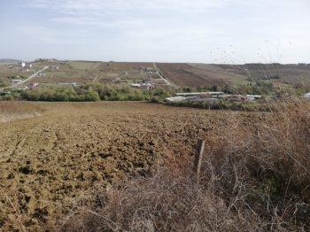 YALOVA ÇİFTLİKKÖY GACIK KÖYÜNDE SATILIK TARLA